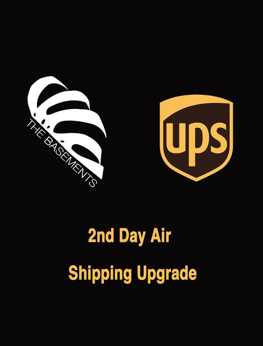 UPS 2nd Day Air Shipping Upgrade The Basements US